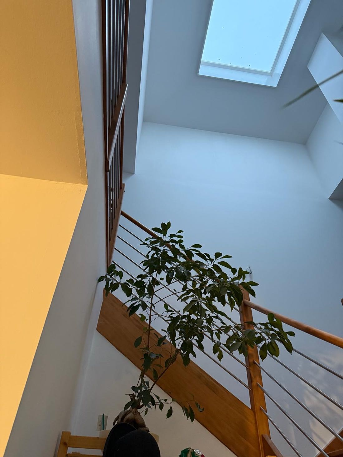 Galerie mit Holzgeländer unter einem Dachfenster nach dem Anstrich